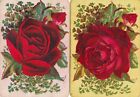 ROSES  -   2   single VINTAGE playing  cards #