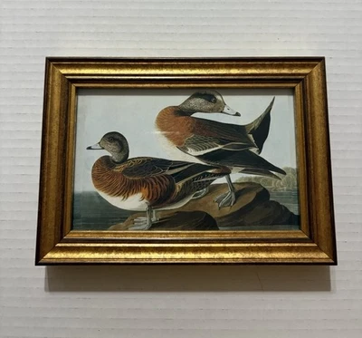Audubon Framed Print American Wigeon 5 1/2 X 8 Inches - Image 1 of 4