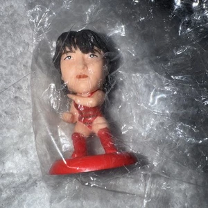 Figura Chigusa Ngayo Donna Pro Wrestling Prokaku Heroes Giappone X005 - Foto 1 di 1