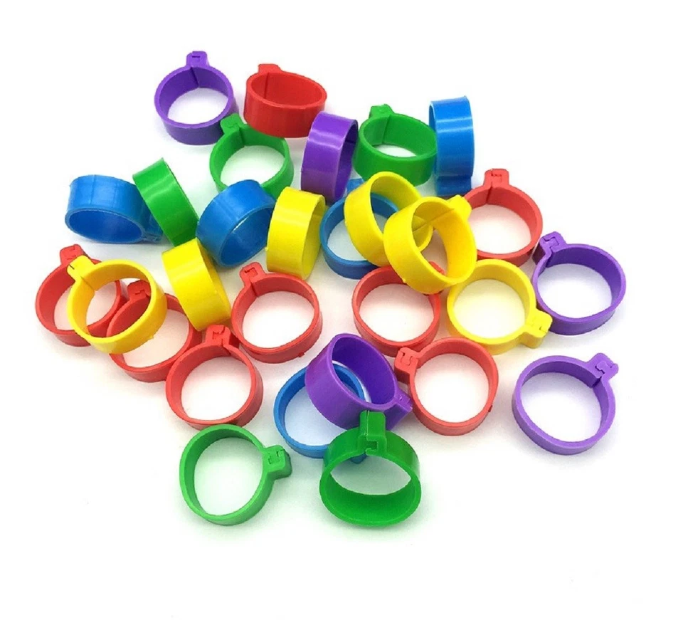 Anillos de patas con clip para aves de corral de 10,25,50 o 100 8 mm pollo incubar paloma faisán pájaro Foto 1 de 4