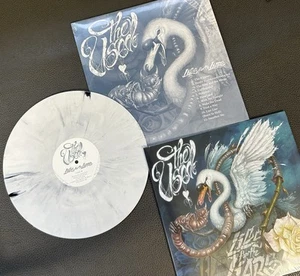 The Used “Lies for Liars” 1/500 Limited Edition Cobweb Vinyl LP 🪩RARE/SEALED🪩 - Picture 1 of 5