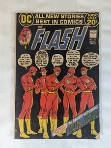 The Flash #217 - 1st Green Lantern/Green Arrow back up story - 1972 - @5.0 - Picture 1 of 5