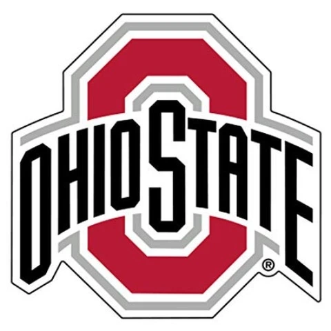 OHIO STATE BUCKEYES Large 11.25" Auto MAGNET Cover