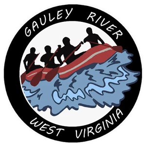 "Calcomanía pegatina parachoques ventana Gauley River, Virginia Occidental de 3,5" para camión de automóviles - Imagen 1 de 14