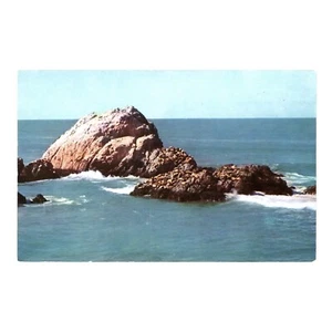 Seals Rock from Cliff House CA Vintage Postkarte Chrom - Bild 1 von 2
