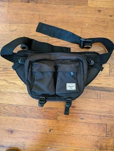 Hershel Strand Eighteen waist Hip Pack - Picture 1 of 7