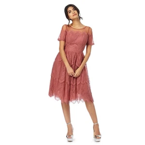 Chi Chi London Floral Lace Embroidered Trim Occasion Party Prom Dress 16 Pink - Picture 1 of 4