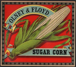 *Original* OLNEY & FLOYD 1910 SUGAR CORN New York Can Crate Label NOT A COPY - Bild 1 von 1