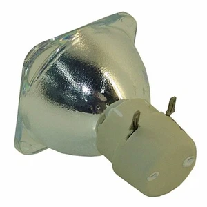 LAMPADA PROIETTORE LAMPADINA PER BENQ MX525 MW714ST MW811ST 5J.J3K05.001 MW523 MX522P - Foto 1 di 2