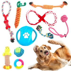 10 PCS DOG ROPE TOYS SET TOUGH STRONG CHEW KNOT TOYS PUPPY BEAR COTTON PET TOYS - Picture 1 of 6