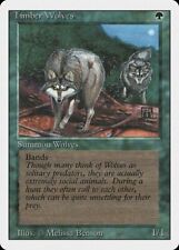 MTG - Timber Wolves / Loups des forêts | Revised [ENG] 