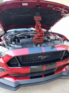 30 inch  custom Coyote  Hood Prop - Picture 1 of 10