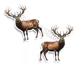 Pegatinas de vinilo para ciervos BUCK NATURALEZA excelentes calcomanías para animales ciervos c35009 2 piezas - Imagen 1 de 2