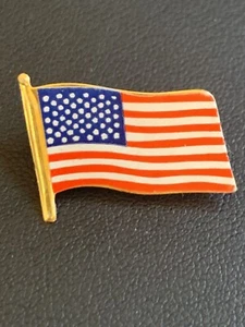 USA (United States of America Flag) Straight Back Brouch Lapel Pin New Vintage - Picture 1 of 11