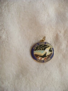 OB-ASTRONAUT ALLEN FISHER GARDNER HAUCK WALKER CHARM ANHÄNGER (EMAILLE) #25626 - Bild 1 von 7