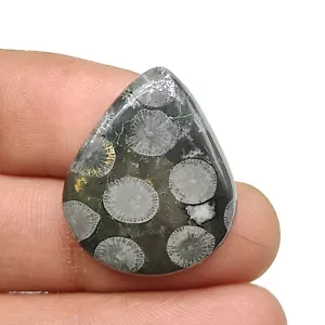 Natural black fossil coral cabochon designer fossilized coral loose stone M6557 - Picture 1 of 5