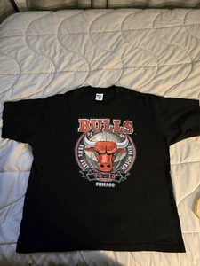 Vintage 95-96 Chicago Bulls NBA Best Season Ever Pro Player 72-10 XXL T Shirt - Picture 1 of 7