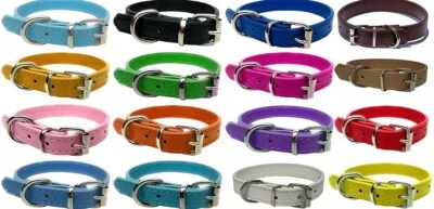 WORLD OF PETS PU Leather Small Dog Collar Puppy Black Blue Brown Red