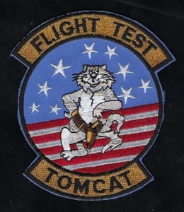 F-14 TOMCAT FLIGHT TEST PATCH TOP GUN USS PIN UP US NAVY GRUMMAN VF FIGHTER* - Picture 1 of 24
