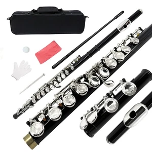 New 16 Hole C Key Flute with Portable Case Closed Hole Nickel Black - Picture 1 of 6