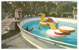 SEA LION POOL Belle Isle ZOOLÓGICO INFANTIL Detroit Michigan años 60 FOTO PC DE COLECCIÓN - Imagen 1 de 2