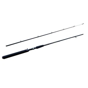 CarbonZeal 2-Piece Strong Lightweight Portable Fishing Rod, Casting Fishing Pole - Picture 1 of 5