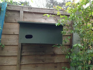 Common swift bird nest box  / Available colours ( shoebox )  - Picture 1 of 4