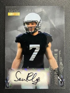 2023 Blattmetall matt Auto Sandro Platzgummer - Bild 1 von 2