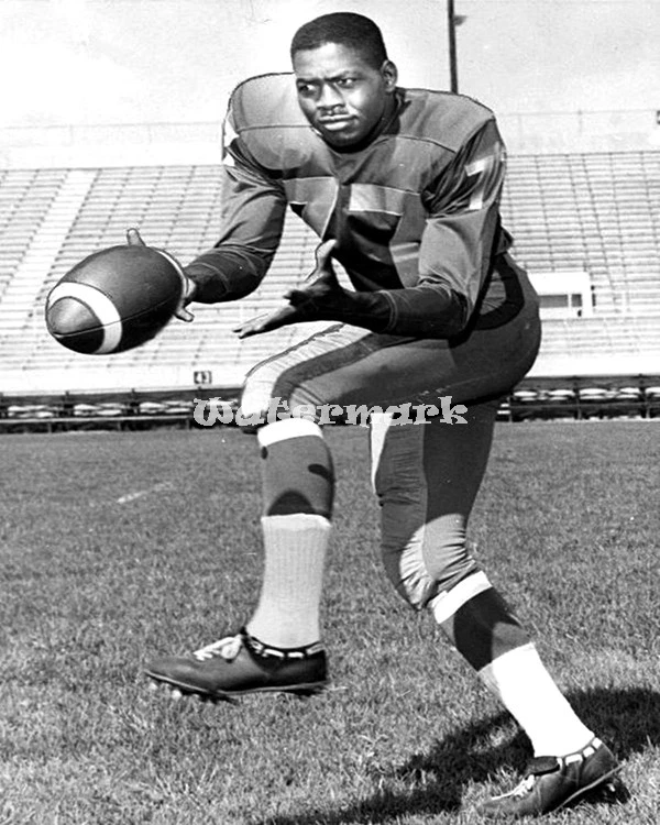 Fotografía CFL 1959 Ernie Pitts Winnipeg Blue Bombers blanco y negro 8 X 10 Foto 1 de 1