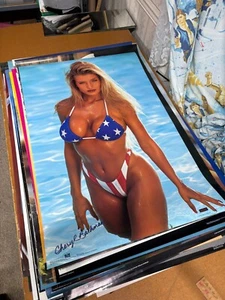 #30 Vintage 1994 Poster 35x23 Cheryl Bachman USA Bikini Playboy OSP #2315 - Bild 1 von 3