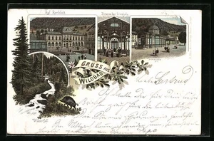 Lithographie Wildbad / Schwarzwald, Königliches Karlsbad, Trinkhalle, Inneres d  - Picture 1 of 2