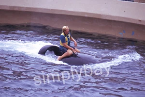 8 Photo Slides Marin World Dolphin's Show, CA 1973 - Picture 1 of 12