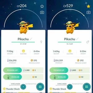 Pokemon Shiny Pikachu With Summer Style Hat Costume - TRA'DE GO - Description - Picture 1 of 4