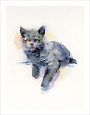 Keeling Grey Kitten cat art print poster gallery wall art modern art + BORDER