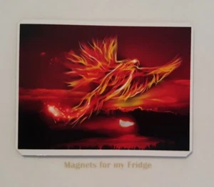 FIREY PHEONIX BIRD IN FLIGHT FRIDGE MAGNET - M347F - Foto 1 di 1