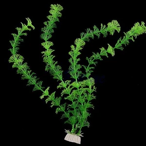 32cm Aquatic plant Live Aquatic Aquarium Tropical Tank Plants☆ - Picture 1 of 8