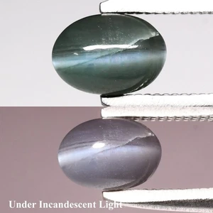 💎 1.11ct Oval Cabochon Natural Green Cat's Eye Alexandrite - Russia Gemstone - Picture 1 of 6