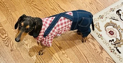 New Navy Jeans Jumpsuit For Small Medium Size Dog - Image 1 of 4
