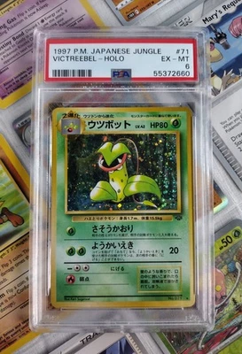 Victreebel Holo 1997 P.M. Japanese Jungle PSA 6 with Goodies! - Image 1 of 4