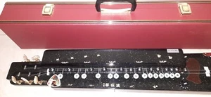 KINDENRYU Shirasagi (白鷺) Electric Taishogoto + Hard Case (#02) - Picture 1 of 8