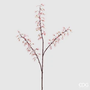 EDG Enzo De Gasperi Heuchera Rex 3 Rami H 112 Cm Bianco Rosa - Imagen 1 de 1