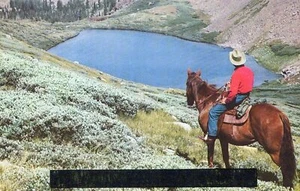 Cowboy zu Pferd Western mit Blick auf Bergsee Vintage Chrom Postkarte - Bild 1 von 3