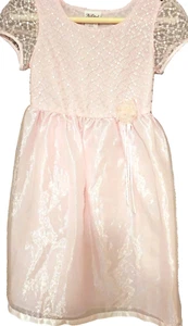 GIRLS SZ 8 by ROSE COTTAGE ~ S/S PINK EMBROIDERED DRESSY HOLIDAY DRESS ~ NWOT - Picture 1 of 15