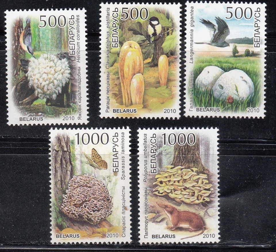 Belarus  2010 Mi.#838-42 Red Book of belarus. Mushrooms set of 5 stamps - Image 1 of 1