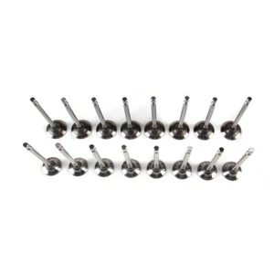 Intake & Exhaust Valve Kit Fit For VW Jetta 2011--2018 1.4T 1.6L 03C109601J - Picture 1 of 9
