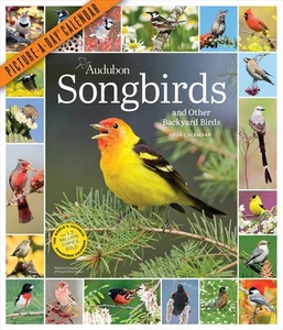 Audubon Songbirds And Other Backyard Birds Picture-A-Day Wall Calendar 2024: A _ - Foto 1 di 1