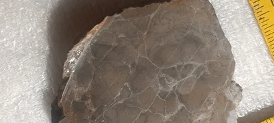 Losa de nódulo de jaspe áspero 127 g. Cable lapidario de 3/8" de espesor Foto 1 de 4