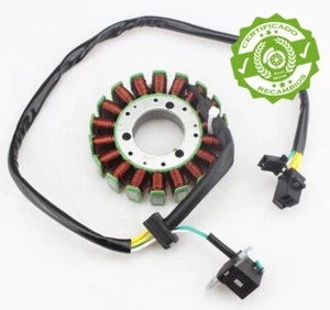 ✅ Alternador Suzuki ▷ SV400 SV650 1998 – 2002 🏍️ Estator Bobina Magneto SV 650S - Imagen 1 de 2