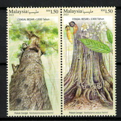 MALAYSIA 2023 LARGEST CENGAL TREE SE-TENANT COMP. SET OF 2 STAMPS IN MINT MNH - Image 1 of 3