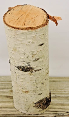 Bastão de madeira de bétula prata branca 8" tronco artesanato borda viva rachada 3~3 1/4"D(B) - Imagem 1 de 4